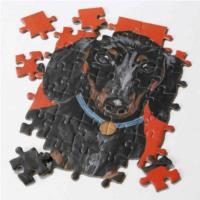 Pooch Puzzle Dachshund - 100PCS