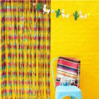 Multi Coloured Foil Curtain Backdrop