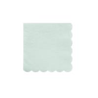 Mint Simply Eco Small Napkins