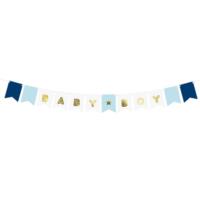 Baby Boy Banner