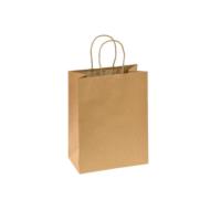 Natural Paper Party Bag Medium