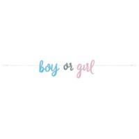 GENDER REVEAL SCRIPT BANNER 7 FT.