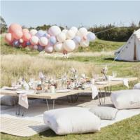 BLUSH/NUDE/BLUE HEN PARTY BALLOON ARCH KIT