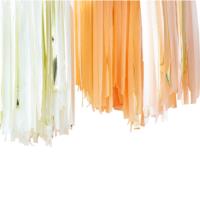 PEACH AND GOLD STREAMER CEILING DECORATION