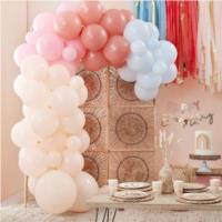 Muted Pastel Balloon Arch Kit