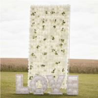 White Rose Flower Wall Backdrop Tile