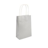 Silver Paper Party Bag