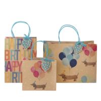 Happy Birthday Gift bag set 