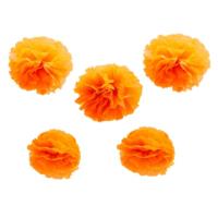 Tissue Paper pompoms- Neon Orange Birthday