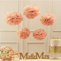 Tissue Paper Pom Poms- Pastel pink