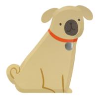 Pug Plates