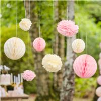 Pom Pom and Honeycomb Hanging Tissue Party Decorations