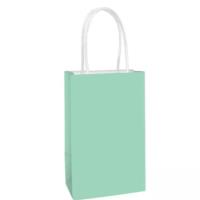 Small Gift Bag Mint