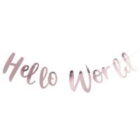 Hello World - Bunting - Hello World