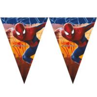 Spiderman 2 Triangular Flag Banner