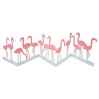 Flamingos Birthday Card