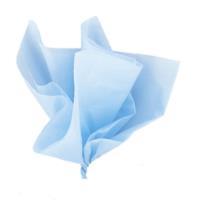 10 Baby Blue Tissue Sheets
