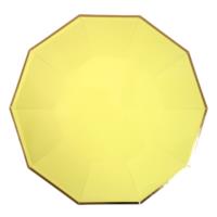 Large Neon Plates