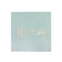 Mint Green Hooray Ombre Napkins